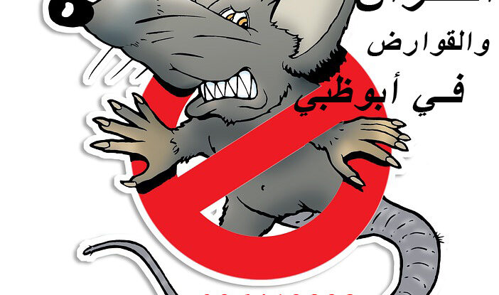 بعض مبيدات مكافحة الفئران المستخدمة كيف اتخلص من الفأر خرج المنزل 🐁والجرذان 0503115370