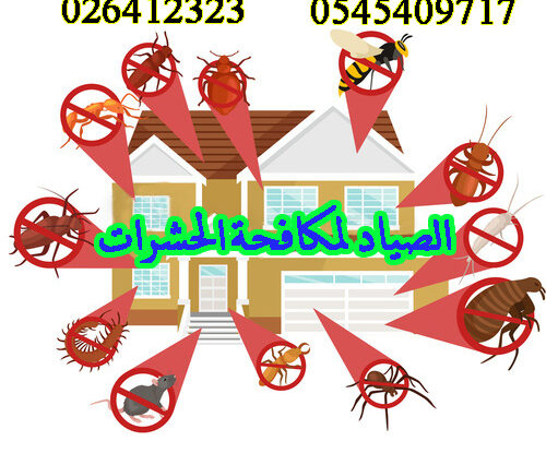 stored goods by eliminating rodents and insects, ensuring a clean and pest -free environment in your warehouse, villas, offices, and apartments. Control of all types of insects.