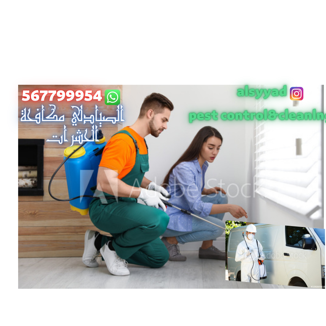 شركة مكافحة القوارض في ابوظبي