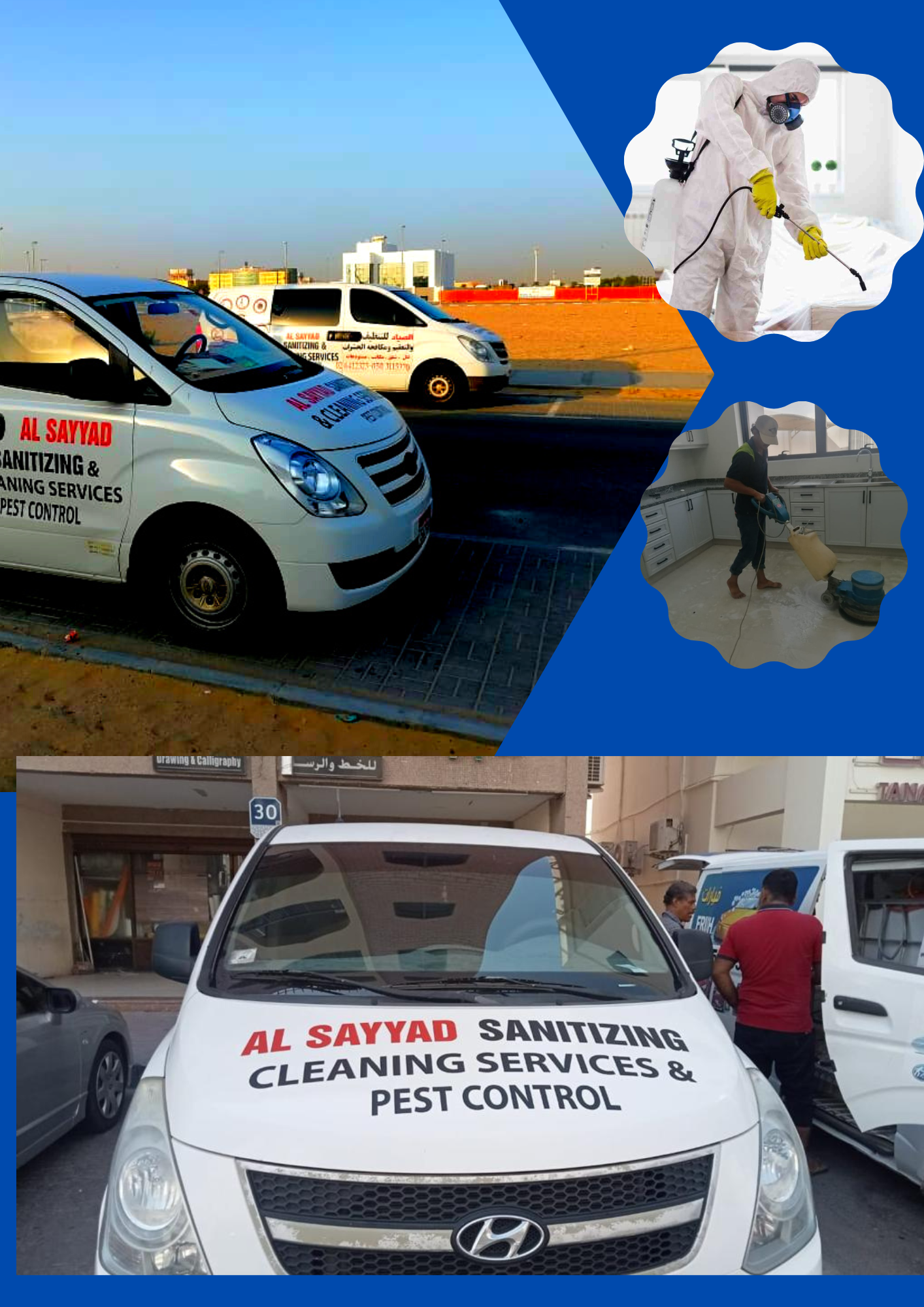 Termite Pest Control Service