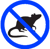 rat control