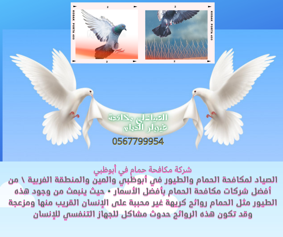 شركة مكافحة الحمام في ابوظبي