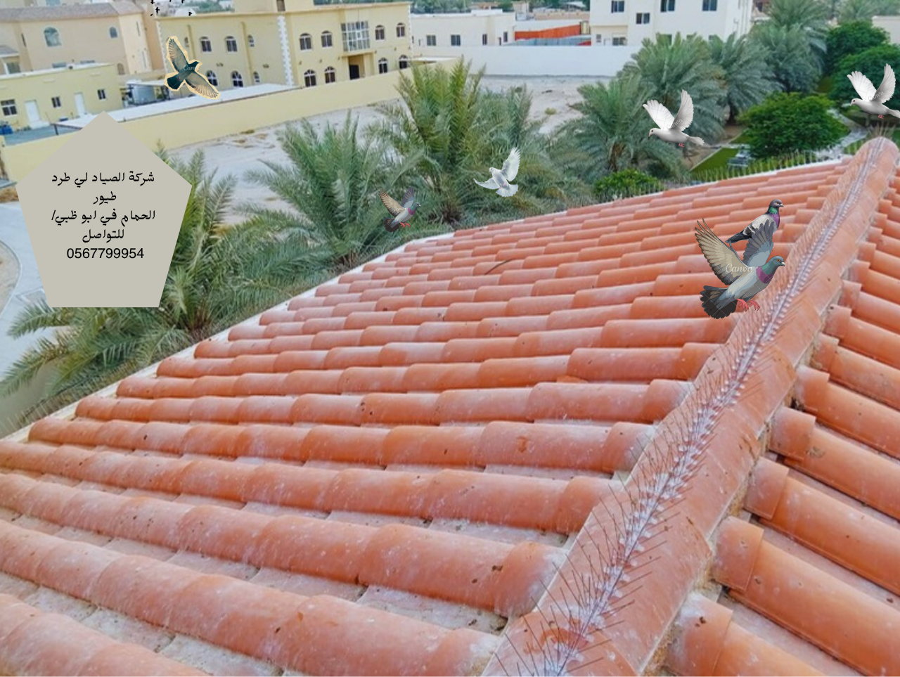 شركة طرد الحمام عن المنازل خدمات احترافية من شركة الصياد إذا كنت تبحث عن شركة طرد الحمام عن المنازل في أبوظبي، فإن شركة الصياد لمكافحة الحمام