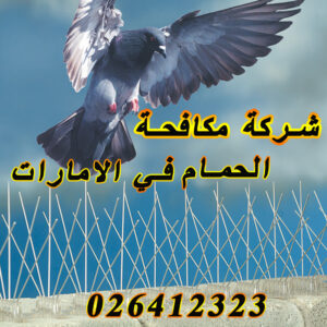 شبك مانع الحمام ويتم0503115370 استخدامه عادة لتغطية مساحات كبيرة من التي تهاجمها أسراب الحمامكما توفر شركة تركيب طارد الحمام بجدة شبكات طاردة عبارة عن أسلاك شوكيه ملفوفة بشكل يمنع مرور الحمام من خلالها أو مجرد الاقتراب منها.تقوم شركة طارد الحمام جده بتركيب طارد مكون من أسياخ وألواح المسامير المعدن والتي تمنع اقتراب الحمام من منزلك.كما توفر شركة مكافحة الحمام والطيور بجدة إجراءات وقائية لمنع اقتراب الحمام منها استخدام جل طارد للحمام وغيرها