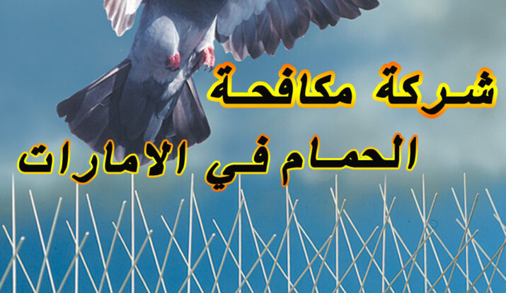 شبك مانع الحمام ويتم0503115370 استخدامه عادة لتغطية مساحات كبيرة من التي تهاجمها أسراب الحمامكما توفر شركة تركيب طارد الحمام بجدة شبكات طاردة عبارة عن أسلاك شوكيه ملفوفة بشكل يمنع مرور الحمام من خلالها أو مجرد الاقتراب منها.تقوم شركة طارد الحمام جده بتركيب طارد مكون من أسياخ وألواح المسامير المعدن والتي تمنع اقتراب الحمام من منزلك.كما توفر شركة مكافحة الحمام والطيور بجدة إجراءات وقائية لمنع اقتراب الحمام منها استخدام جل طارد للحمام وغيرها