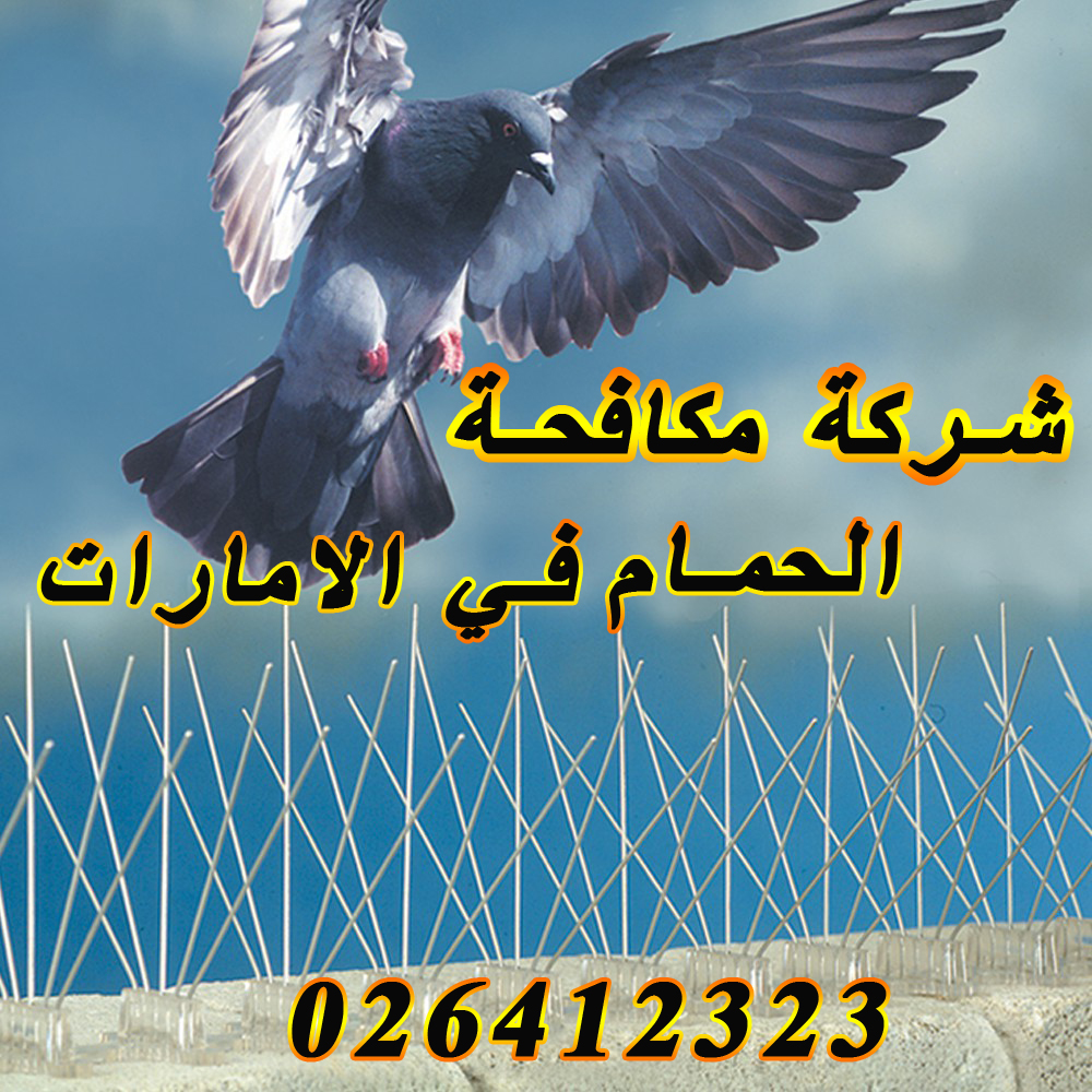 شبك مانع الحمام ويتم0503115370 استخدامه عادة لتغطية مساحات كبيرة من التي تهاجمها أسراب الحمامكما توفر شركة تركيب طارد الحمام بجدة شبكات طاردة عبارة عن أسلاك شوكيه ملفوفة بشكل يمنع مرور الحمام من خلالها أو مجرد الاقتراب منها.تقوم شركة طارد الحمام جده بتركيب طارد مكون من أسياخ وألواح المسامير المعدن والتي تمنع اقتراب الحمام من منزلك.كما توفر شركة مكافحة الحمام والطيور بجدة إجراءات وقائية لمنع اقتراب الحمام منها استخدام جل طارد للحمام وغيرها