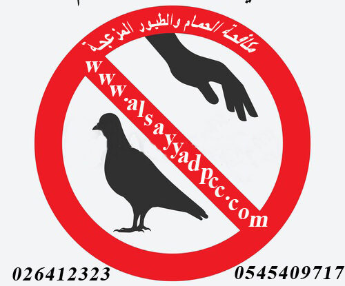 التخلص من الحمام\شركة مكافحة الحمام في ابوظبي