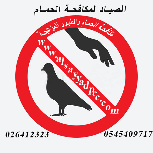 التخلص من الحمام\شركة مكافحة الحمام في ابوظبي
