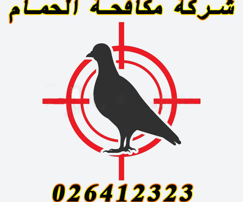 كيف اتخلص من الحمام في البيت-شركة طردالحمام🕊️ 