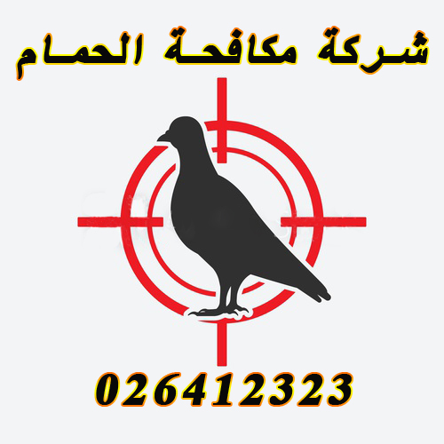 كيف اتخلص من الحمام-شركة تخلص من الحمام طرق التخلص من الحمام وطرد الحمام عن المنازل والبنايات شركة طرد الحمام في ابوظبي