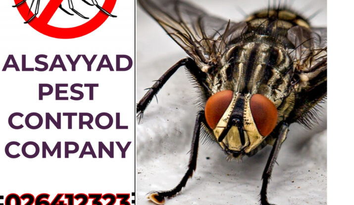 الذباب التخلص من الذباب مكافحة الذباب 0503115370