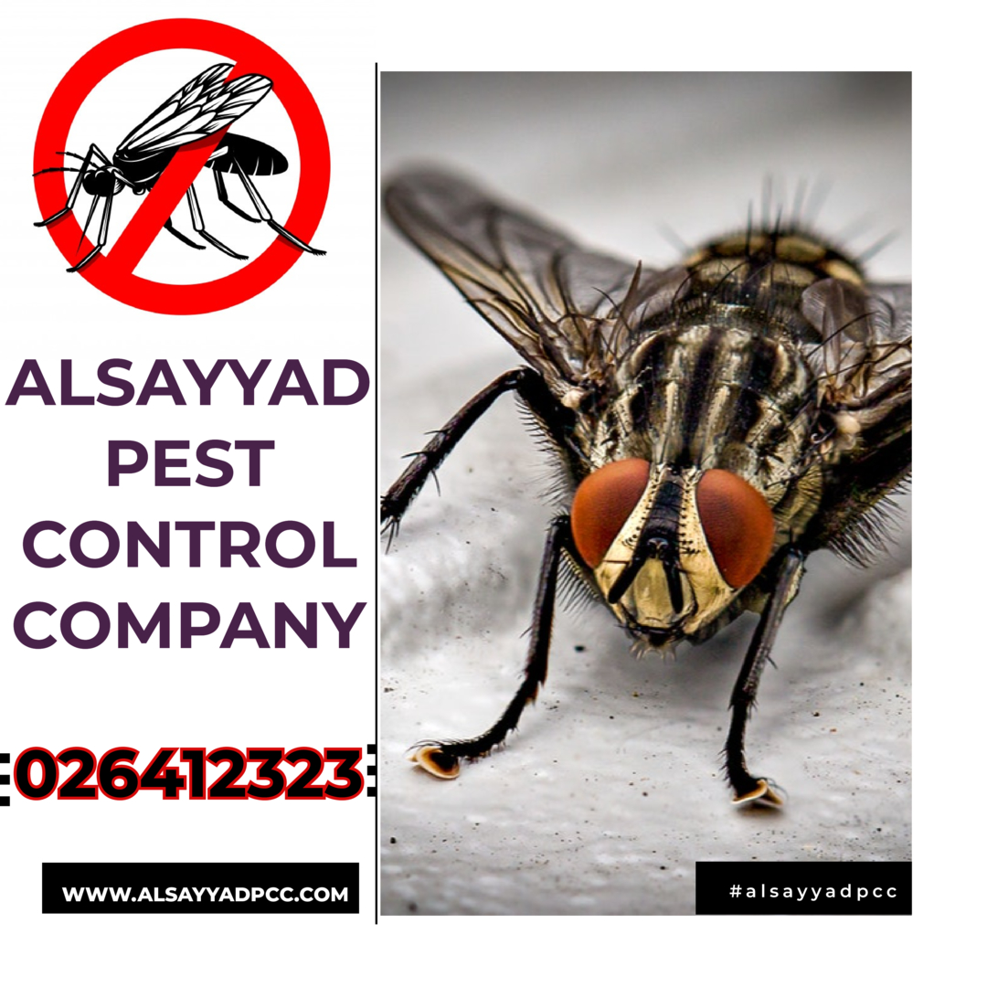 الذباب التخلص من الذباب مكافحة الذباب 0503115370