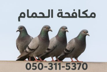 افضل شركة مكافحة الحمام وطرد الحمام 0503115370