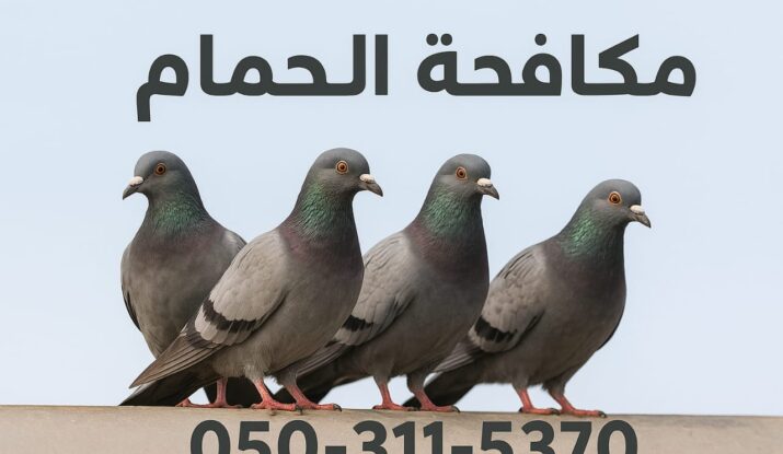 افضل شركة مكافحة الحمام وطرد الحمام 0503115370