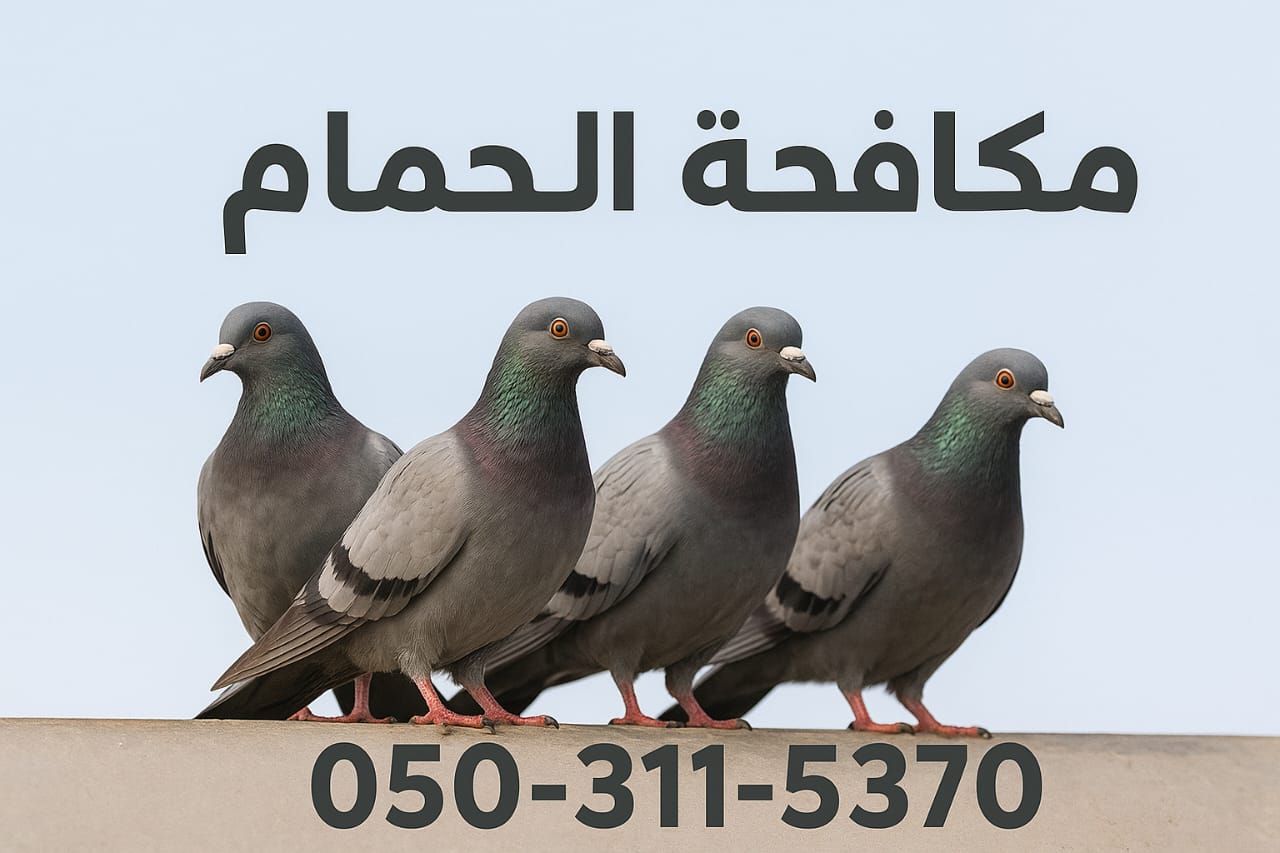 افضل شركة مكافحة الحمام وطرد الحمام 0503115370