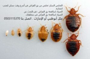 التخلص المبكر: تخلص من بق الفراش في أسرع وقت ممكن لتجنب انتشاره. الصياد لمكافحة بق الفراش : قم بالبحث عن الصياد لمكافحة بق الفراش في منطقتك، مثل أبوظبي أو الإمارات، وتواصل معهم لتقييم خدماتهم. اتصل بنا 0503115370
