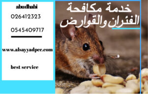 الفار-كيف التخلص من الفار في المنزل وخارج المنزل والتخلص من القوارض مثل الفار والجرذ الفأر ينقل عديد من الامراض ومن اهمها الطاعون0503115370