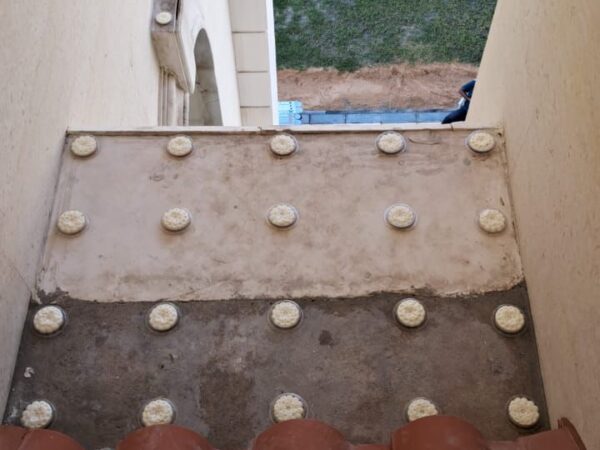 Tablet Methods for Pigeons and Seabirds