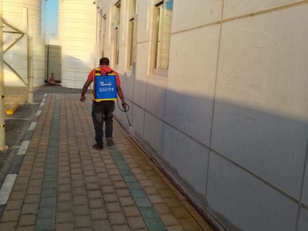 WhatsApp Image 2026-02-09 at 12.27.26 AM (1)